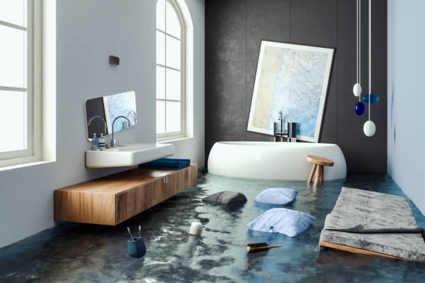 Best Flooded house restoration  in Spring Lake, MI