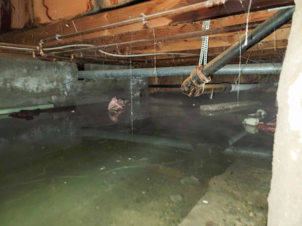 Reliable Spring Lake, MI Water damage restoration Solutions