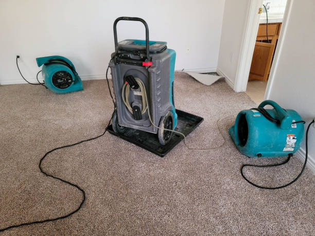 Best Local water damage restoration  in Spring Lake, MI