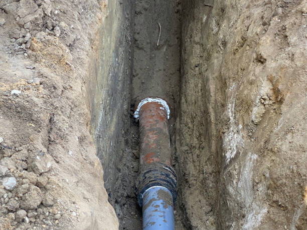 Best Flood damage cleanup  in Spring Lake, MI