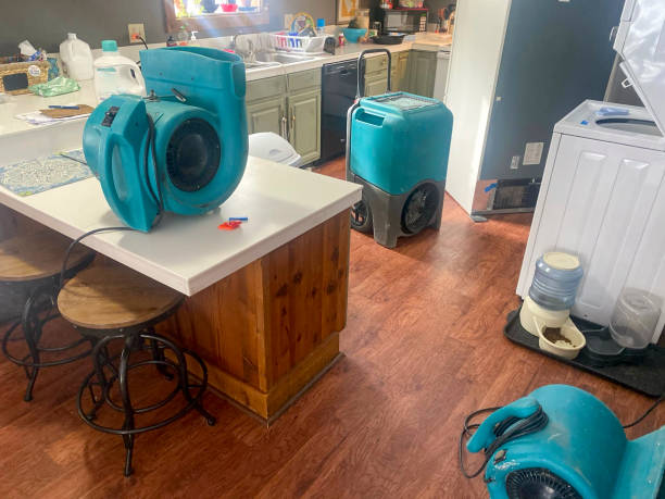Best Mold removal after water damage  in Spring Lake, MI