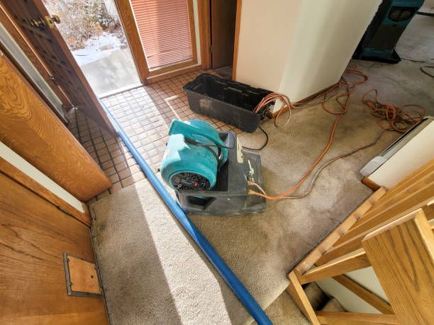 Carpet water damage restoration in Spring Lake, MI