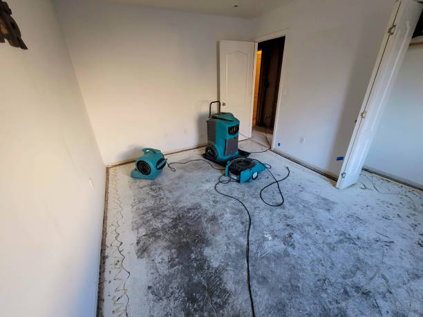 Best Carpet water damage restoration  in Spring Lake, MI
