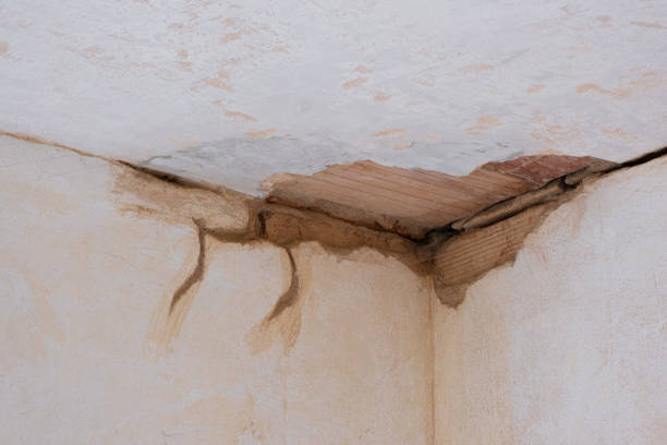 Best Water damage restoration near me  in Spring Lake, MI