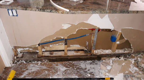 Best Flooded house restoration  in Spring Lake, MI