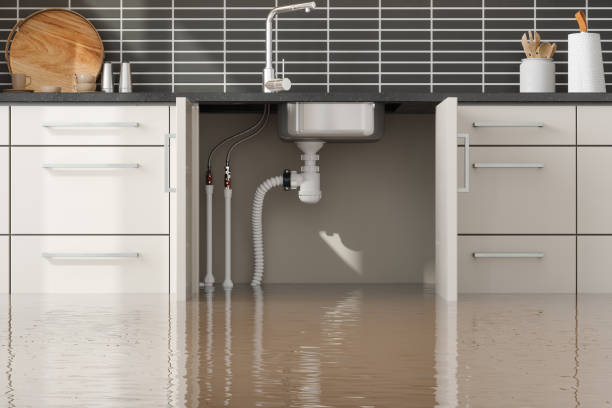 Best Fire Damage Restoration  in Spring Lake, MI