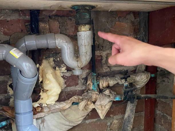 Best Basement water damage restoration  in Spring Lake, MI