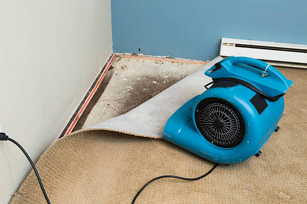 Best 24/7 water damage repair  in Spring Lake, MI
